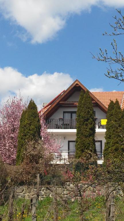 Kekturas-tora Nyilo Badacsonyi Privat Berlemeny Apartment